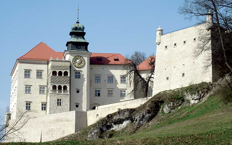 renowacja zamku